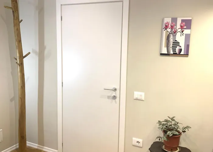 Magnifique Appartement Tirana