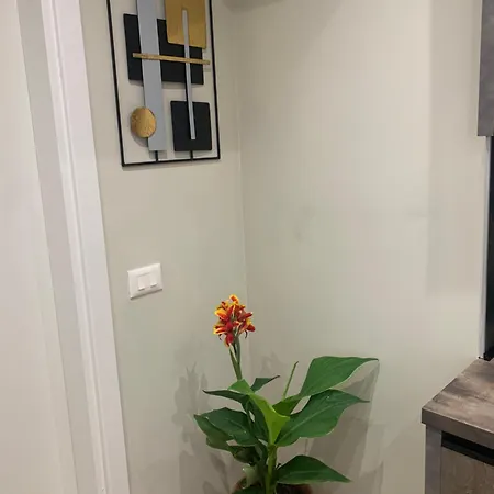 Apartamento Magnifique *